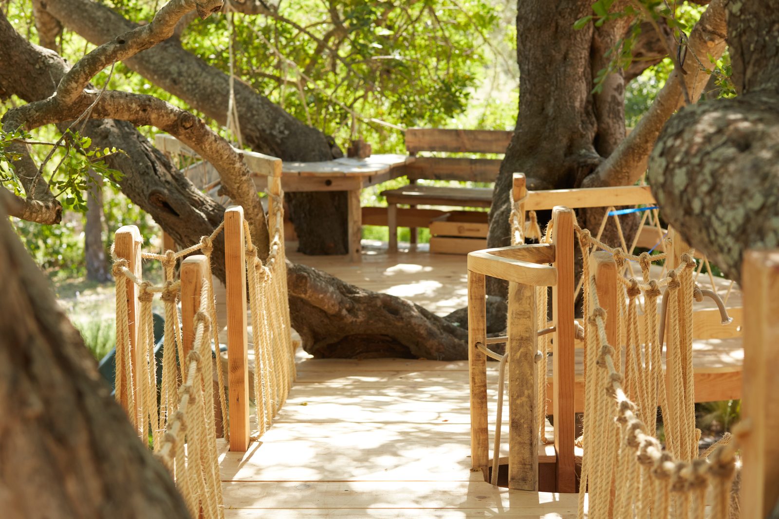 Puente de cuerda y madera entre árboles, vista interior