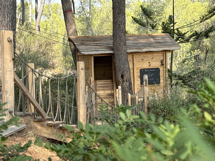 Cabaña de madera entre pinos con vistas al bosque